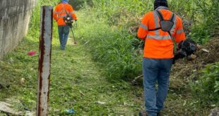 San Miguelito se Levanta: Comunidad Realiza Jornada de Limpieza para un Futuro más Saludable