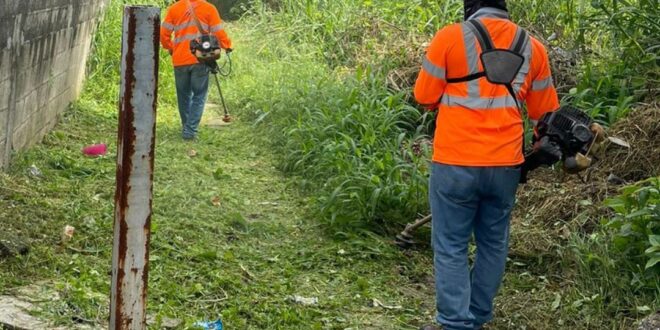 San Miguelito se Levanta: Comunidad Realiza Jornada de Limpieza para un Futuro más Saludable
