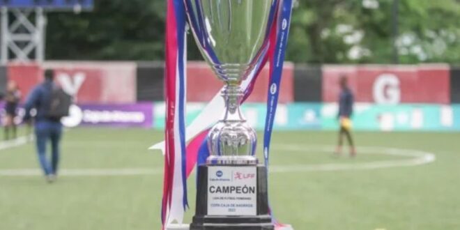 Arranca con Emoción el Torneo Apertura 2024 de la LPF: ¡Conoce la Primera Jornada!
