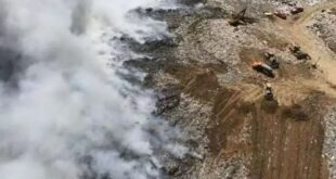 Cerro Patacón: Un Plan Integral para Superar la Crisis Ambiental
