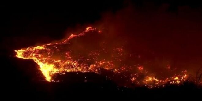 Incendio en Cerro Patacón: Desafíos y Respuestas ante una Emergencia Ambiental