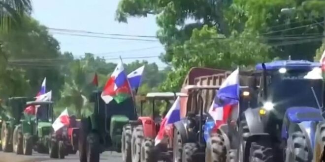 Productores de Arroz en Chiriquí Denuncian Deuda del Gobierno y Acusan al Ministro Arango de Mentir