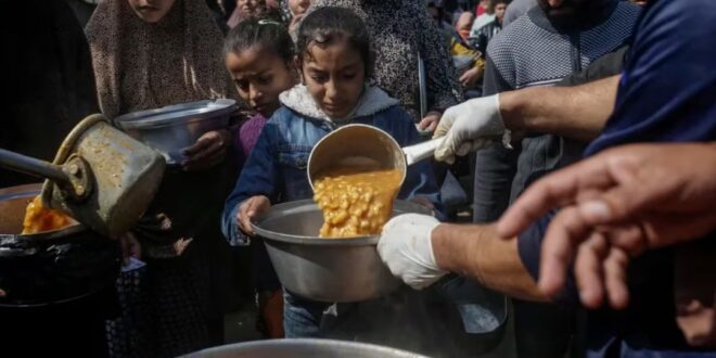 Tragedia en Gaza: Decenas de Muertos Durante la Entrega de Ayuda Humanitaria