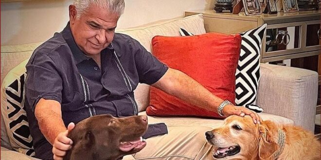 Bernal, Navarro, Alemán, Blandón, Vázquez: MULINO DEBE CORRER