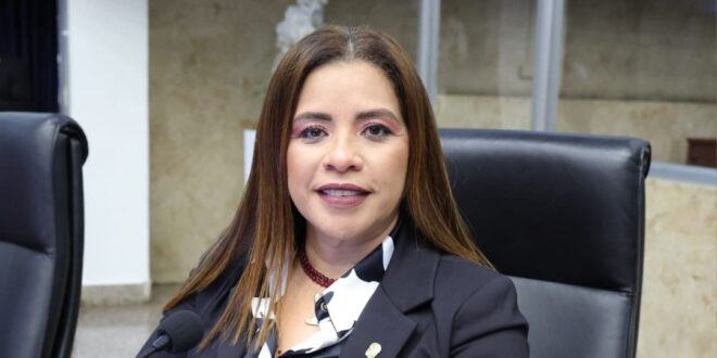Corina Cano, experiencia, compromiso y trabajo comprobado