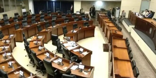 La Asamblea Nacional: ¿Dónde Están los Diputados?