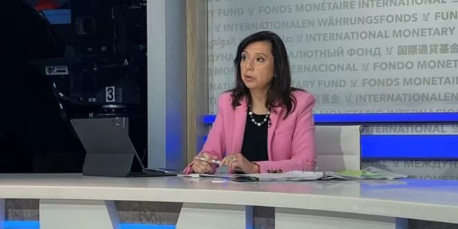 El FMI Elogia el Plan de Estabilización del Gobierno Argentino: ¡Resultados Sorprendentes!