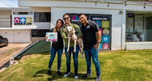 Mayer Mizrachi y Tina donan 5 mil dólares a veterinaria por salvar a Tinakito y otros perros de las calles