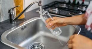 Alerta sanitaria: Su botella de agua podría ser un nido de bacterias