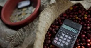 Exportaciones de América Latina en 2024: Resiliencia frente a la Volatilidad