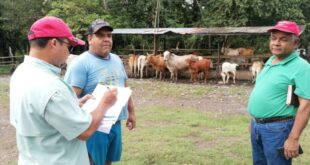 MIDA Evalúa Impacto de Programas Agropecuarios en sus 12 Regionales