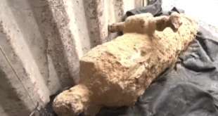 Descubrimiento histórico en San Felipe: hallan cañón del siglo XVII durante obras de mejora