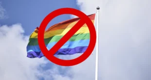 Georgia aprueba polémica ley anti-LGTB antes de elecciones clave