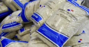 Importación de arroz: IMA responde a preocupaciones de los productores locales