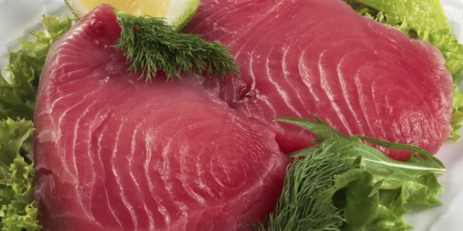 Atún: Saludable y versátil, pero con precauciones por el mercurio