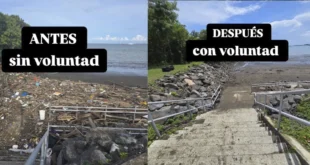 Con la participación de otras instituciones recogen 15 toneladas de desechos, Alcaldía de Panamá organiza limpieza de rampa de Amador