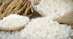 Panamá paga finalmente a Guyana por arroz adquirido hace siete años