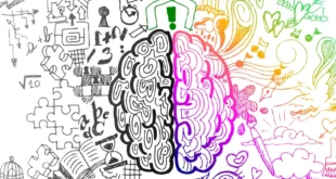 Descubren el circuito cerebral que impulsa la creatividad