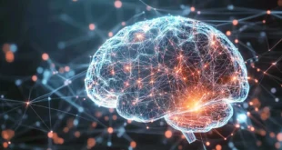 La vitamina B: aliada clave contra el envejecimiento cerebral, según expertos