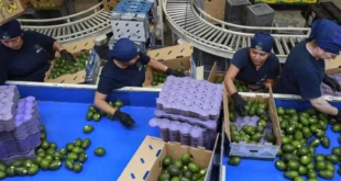 México logra proteger el 90% de sus exportaciones frente a los aranceles de Trump
