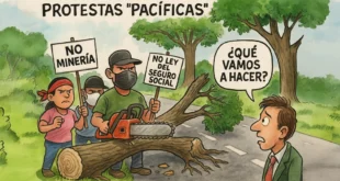 Editorial: Protestamos Destruyendo y Cavando Nuestra Tumba Económica