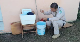 Minsa Alerta Sobre el Aumento de Casos de Dengue y Enfermedades Respiratorias en Panamá: Medidas de Prevención Urgentes