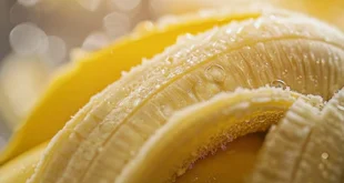 Beneficios y riesgos de comer bananas: ¿Cuántas al día son recomendables?