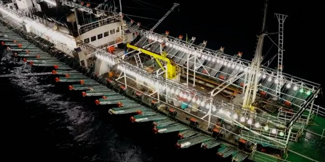 Nuevos Acuerdos Globales Buscan Frenar la Pesca Ilegal China en la 'Milla 201' del Mar Argentino