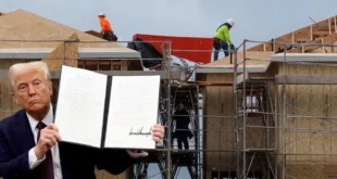 Nuevos Aranceles de Trump a la Madera y Muebles Importados Sacuden la Industria Estadounidense
