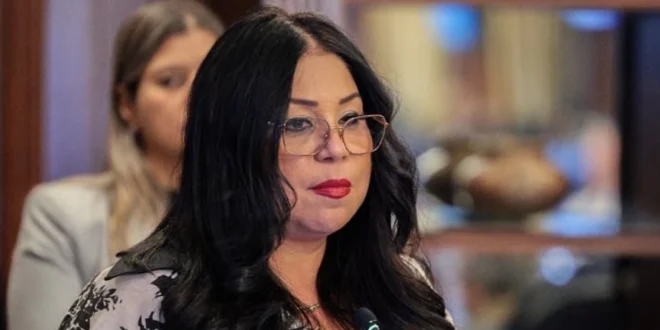 Consejo de Gabinete crea programa nacional para verificar la carga que entra y sale de Panamá