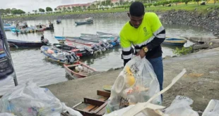 Más de una tonelada de desechos recolectados en jornada de limpieza en el Muelle Panamá