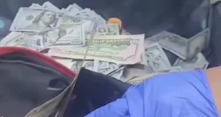 Aduanas frustra intento de ingresar B/.135 mil ocultos en mochilas en Tocumen