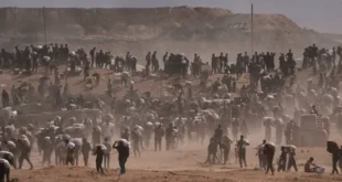 Fundación Humanitaria de Gaza Cierra Operaciones Tras Controversias y Distribución Masiva de Alimentos