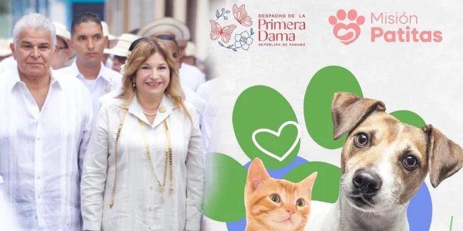 Presidente Mulino y Primera Dama Impulsan 'Misión Patitas' y Ferias Interinstitucionales en La Pintada