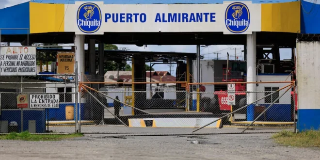 Recuperación Bananera en Panamá: Chiquita Genera Empleo y Apunta a Exportaciones en 2026