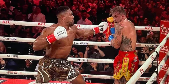 Final de la controversia: Anthony Joshua noqueó a Jake Paul en Miami y puso fin al desafío