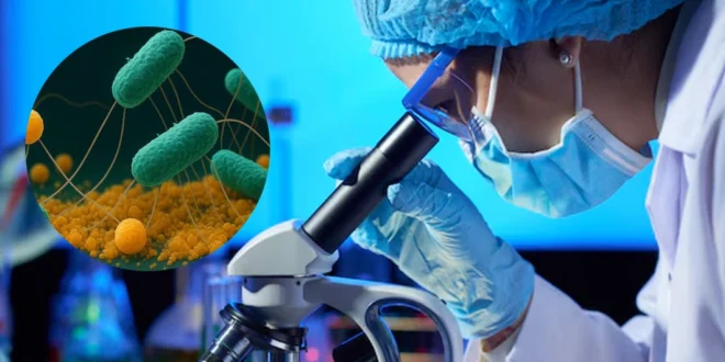 Avance Científico: Descubren un Mecanismo Inesperado en la Acción de los Antibióticos sobre la Microbiota Intestinal