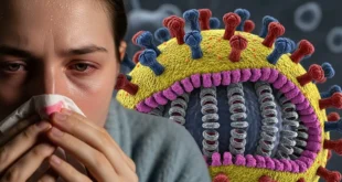 Cuidado: el H3N2 ya está aquí y debes saber esto