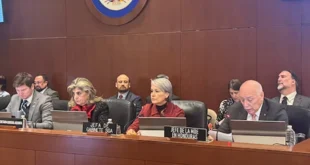 Misión de la OEA Concluye: No se Detectó Fraude en las Elecciones Hondureñas