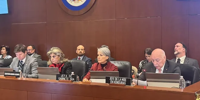 Misión de la OEA Concluye: No se Detectó Fraude en las Elecciones Hondureñas