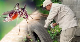 Personal de salud de Panamá realizando inspección para eliminar criaderos de mosquito transmisor del dengue.