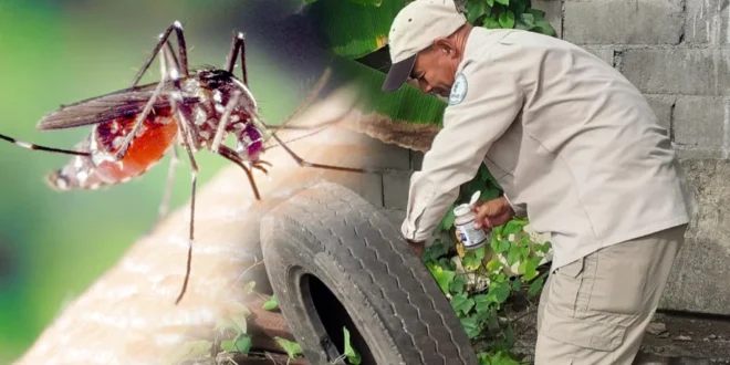 Personal de salud de Panamá realizando inspección para eliminar criaderos de mosquito transmisor del dengue.