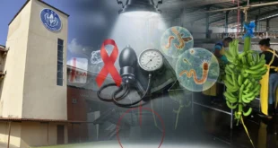 La CSS detecta diagnósticos críticos en trabajadores de Bocas del Toro: Diabetes, hipertensión y parasitosis en la mira