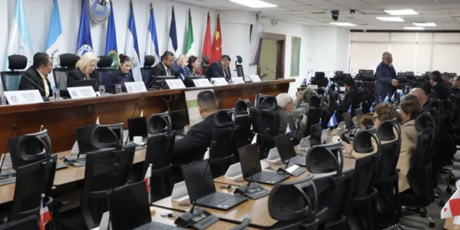 Sesión Plenaria del Parlamento Centroamericano en enero con la diputada Karla Gutiérrez.