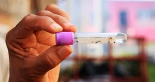 Alerta Epidemiológica en Panamá: MINSA reporta 12 muertes por Influenza y 272 nuevos casos de Dengue