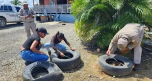 Personal de salud recolectando muestras