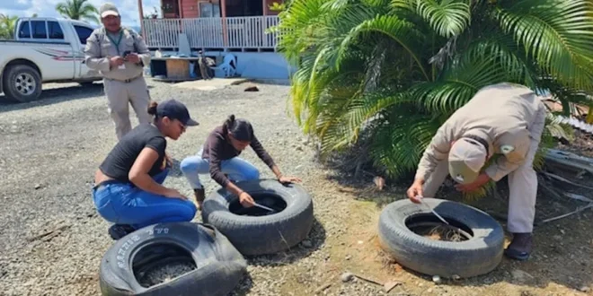 Personal de salud recolectando muestras