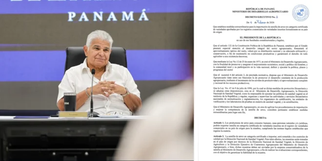 Presidente Mulino establece medidas extraordinarias para la importación de semilla de arroz