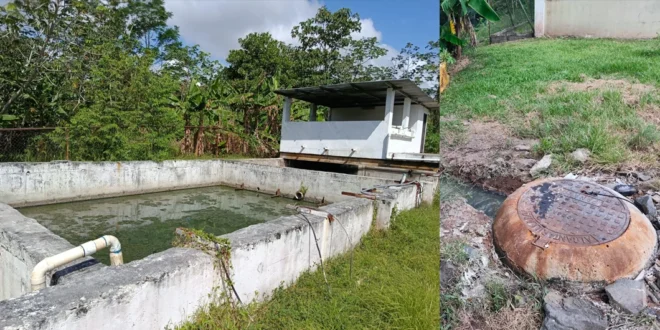 Inspección sanitaria del Minsa en Mistic City