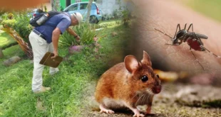 Personal del MINSA realizando inspecciones de salud pública en una comunidad panameña